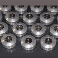 Soulines bbs feet variant 1