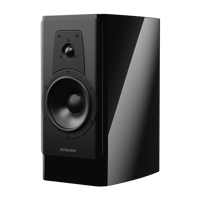 Dynaudio Contour 20 Black Edition variant 2