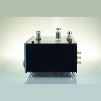 Bonawatt Tamesis - integrated amplifier variant 16