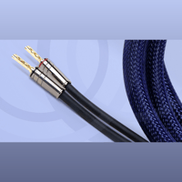 Connected Fidelity Unity Two variant 4