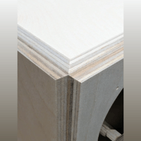 Neil Blanchard Designs MLTL-6 Mass Loaded Transmission Line Speaker Build Manual variant 23