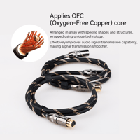 Cayin CS-120XLR variant 3