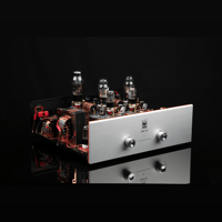 SW1x AMP III “Trinity” Integrated Amplifier variant 10