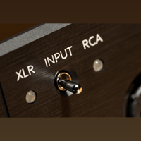 Violectric HPA V222 variant 6