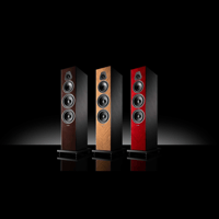 Sonus Faber Lumina V Amator variant 7