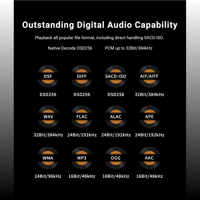 Cayin N3Pro variant 23