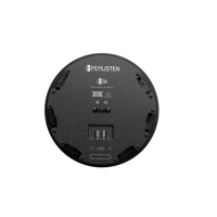 Perlisten S3ic variant 7