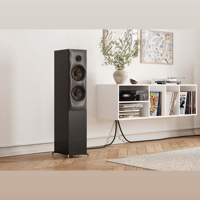 Revival Audio SPRINT 4 variant 4