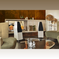 Wilson Audio Sabrina X variant 2