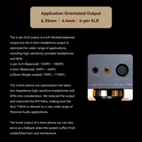 Cayin Soul 170HA variant 20