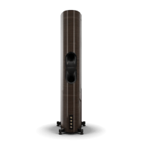 Dali EPIKORE 11 variant 2