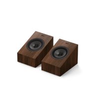 KEF Q8 Meta variant 3