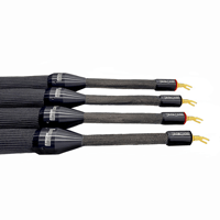 Tara Labs The Grand Master Evolution variant 1