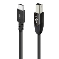AudioQuest Carbon USB-C > B variant 1