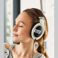 Sennheiser HD 599 variant 3