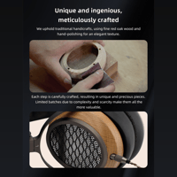 Sivga Audio Planar magnetic driver open-back wood headphone variant 17