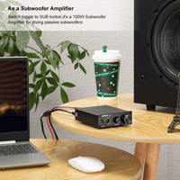 Aiyima AIYIMA A1001 | Class D Amplifier | Hifi Stereo Bass Amplifier variant 5