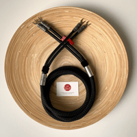 Ikigai Audio Kangai variant 6