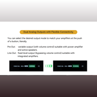 Cayin iDAC-8 variant 5