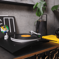 Margules TT-10 variant 8