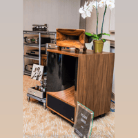 Burwell & Sons Loudspeakers The Plain Jane's variant 2