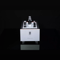 SW1x MPA IV “Aurora” Mono Power Amplifier variant 18