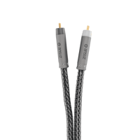 Ansuz Acoustics Signalz - Titanium variant 2