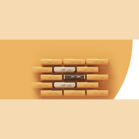 FiiO MELODY variant 14