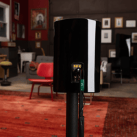 AudioQuest Robin Hood ZERO variant 5