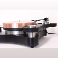 TW-Acustic Raven Anniversary variant 12