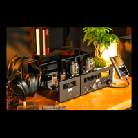 Cayin HA-300 MK3 variant 15