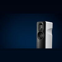 Borresen Acoustics Børresen Z2 variant 2