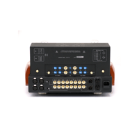 Unison Research Reference Pre variant 5