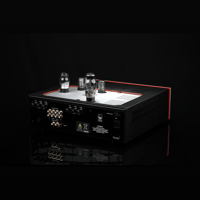 SW1x AMP III “Trinity” Integrated Amplifier variant 7