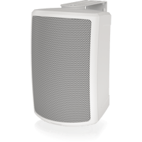 Tannoy AMS 5DC-WH variant 5