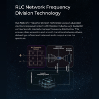 AFUL AFUL Cantor Flagship 14 BA Drivers In-Ear Monitors variant 23