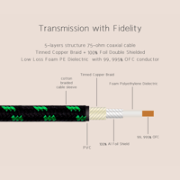 Cayin CS-30TCR variant 4