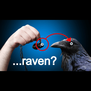 Thumbnail of the video review https://www.youtube.com/watch?v=0t8L96L5wbk