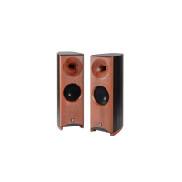 Zingali Acoustics Twenty Evo 1.2 Plus variant 1