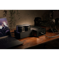 Yamaha HA-L7A variant 10