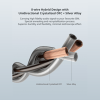 Cayin CS-4.4B variant 3