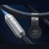 Siltech Cables Classic Legend 880USB variant 2