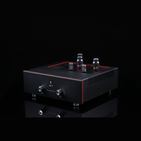 SW1x AMP II “Electra” Integrated Amplifier variant 3