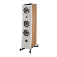 Focal Kanta N°2 variant 5