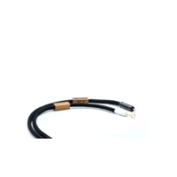 Boenicke IC2 variant 1