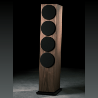 Buchardt Audio A700 LE variant 6