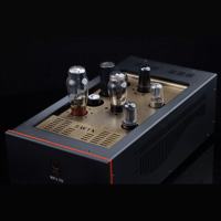 SW1x MPA III “Oracle” Mono Power Amplifier variant 24