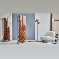 Audiovector R 8 variant 7