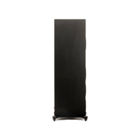 MartinLogan Motion Foundation F1 variant 13