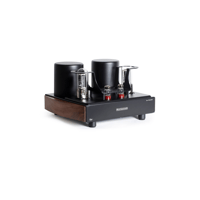 Mastersound Monoblock 845 (pair) variant 2
